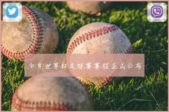 今年世界杯足球赛赛程正式公布