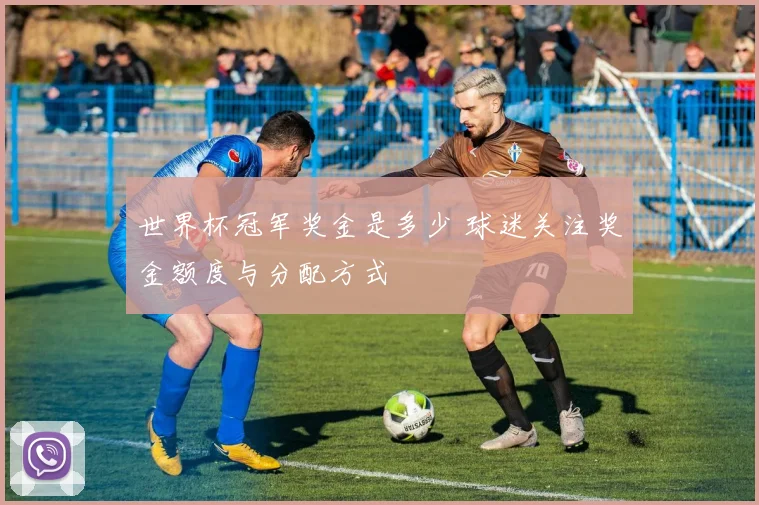 世界杯冠军奖金是多少 球迷关注奖金额度与分配方式