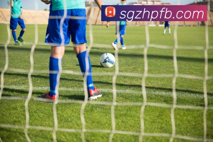 完美体育官网服务体系